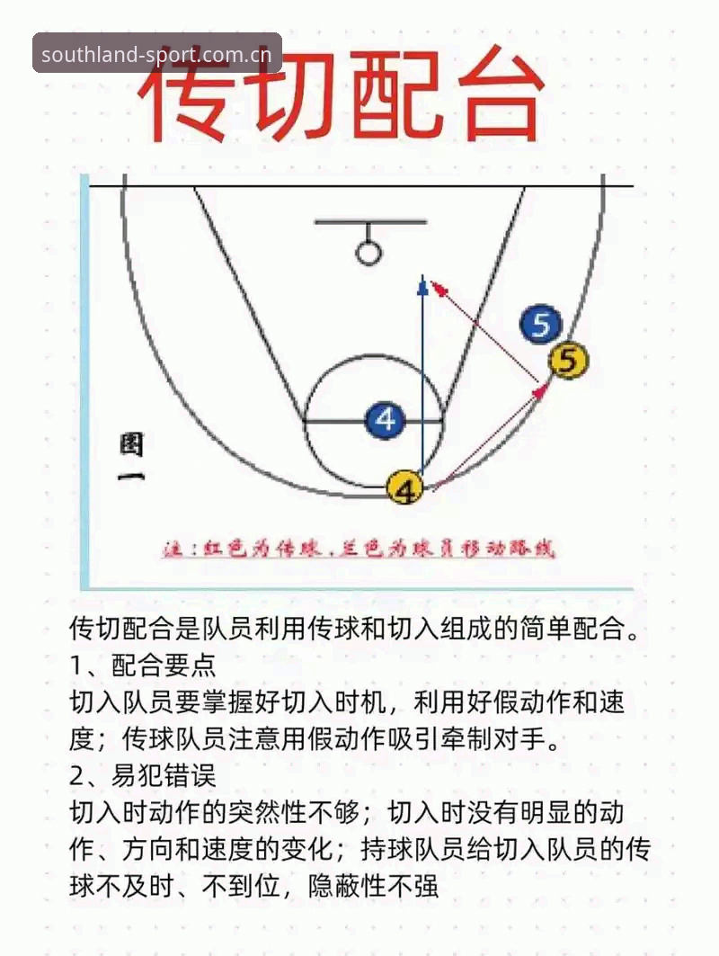 江南体育专业服务 揭秘江南体育专业服务:2026新版背后的真相,老玩家才知道的实战技巧